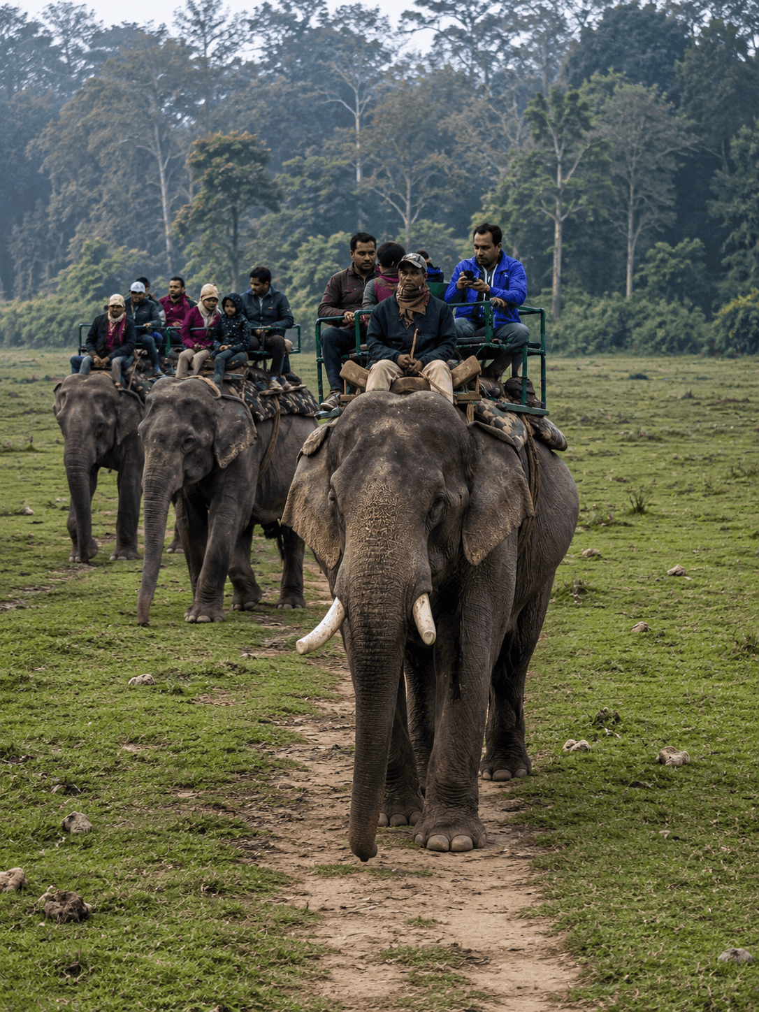 Elephant-ride-1.png